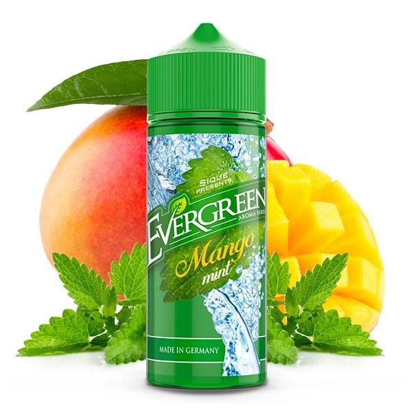 Evergreen Mango Mint Aroma 15ml